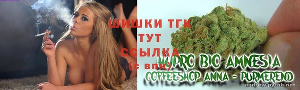 прущая мука Бородино